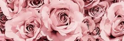 _NrsMa_'s profile banner image