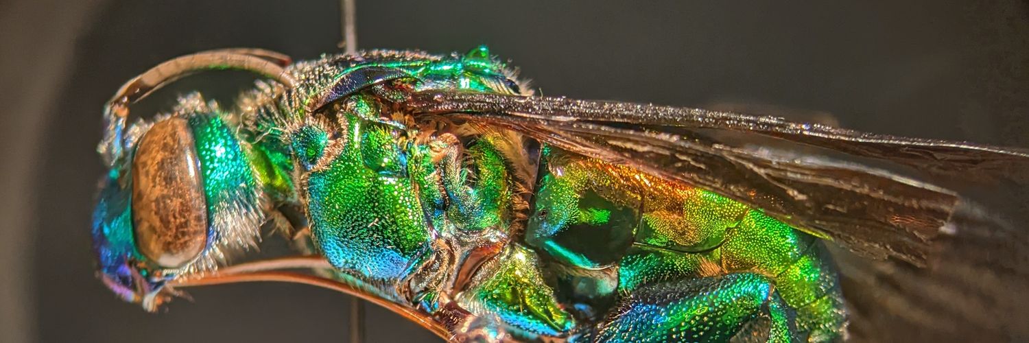 🏳️‍🌈Timo Wayman🇵🇷 banner