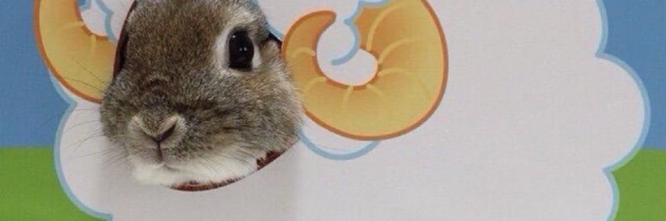 hicheww's profile banner image