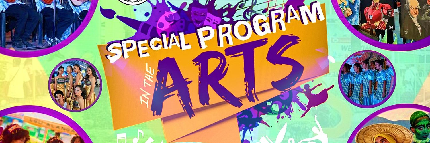 anhsSPA's profile banner image