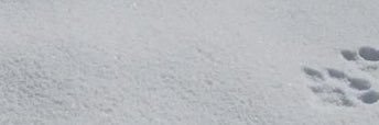 みゆ banner