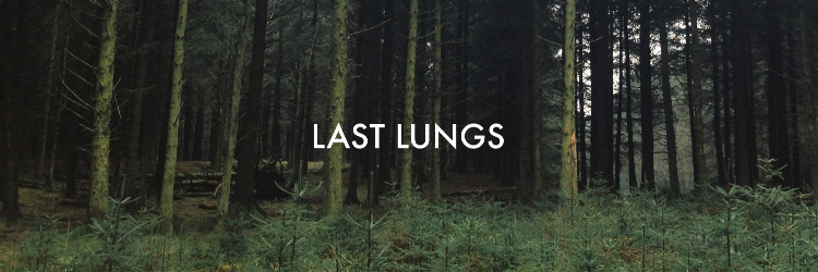 LastLungs's profile banner image
