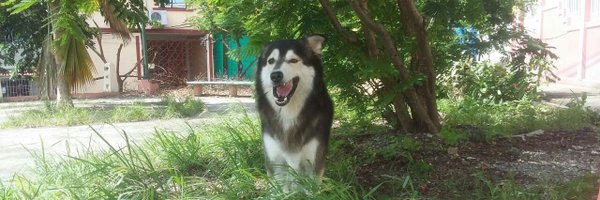 Jenn_ebc Profile Banner