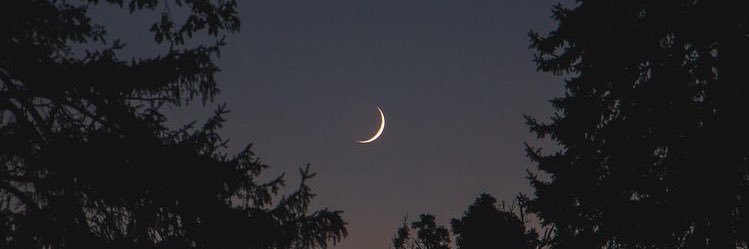 E_A_Shg_'s profile banner image