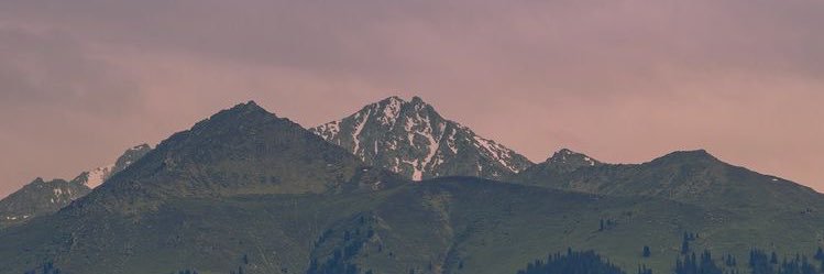 Px banner