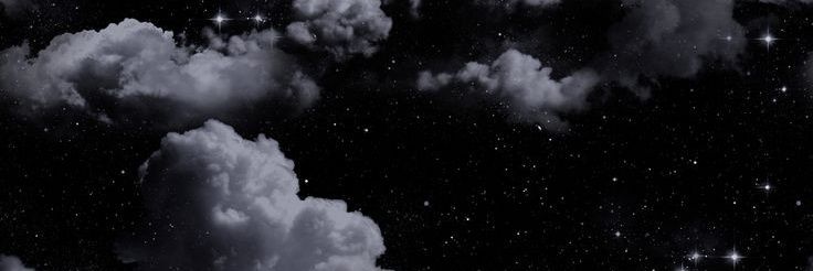 linchark's profile banner image