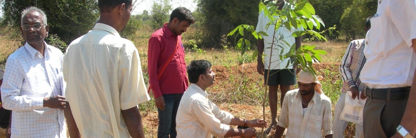 Dr.Narendra Babu Singuru banner