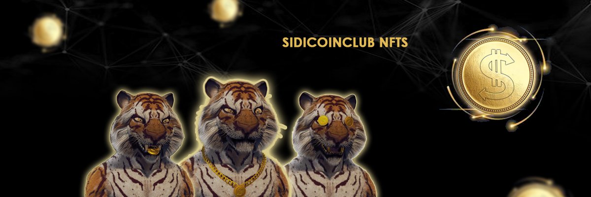 sidicoin's profile banner image