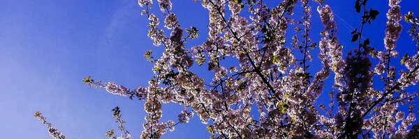 SolutionsCCN Profile Banner