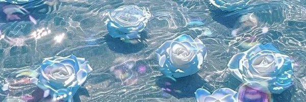 xmaetiny Profile Banner