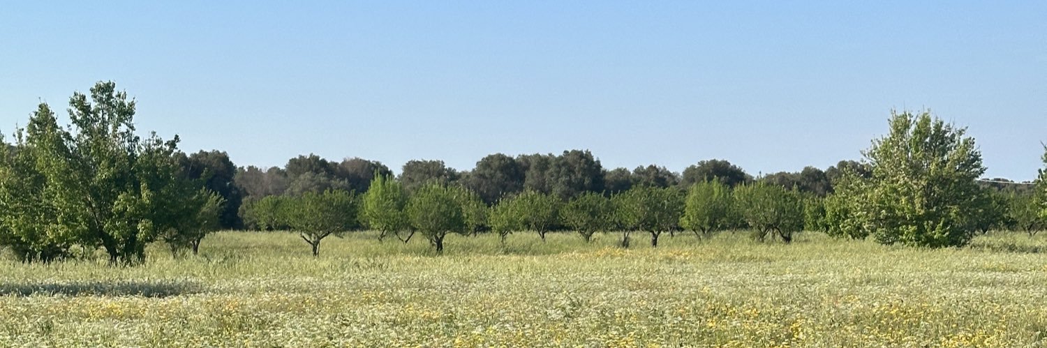 Gregor Henderson banner