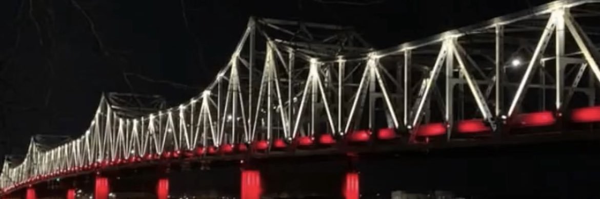 Alicia Williams banner