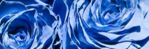StrusinskiK Profile Banner