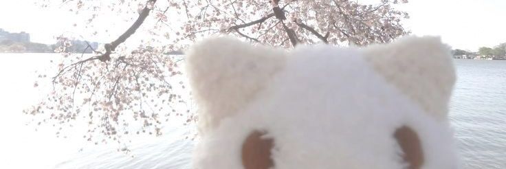 cayonmint's profile banner image