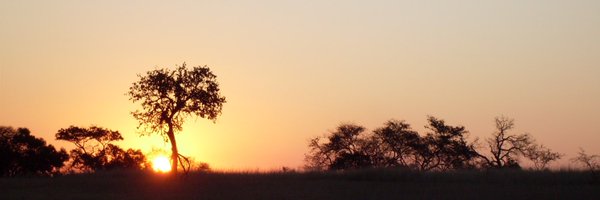 SwanC30905295 Profile Banner