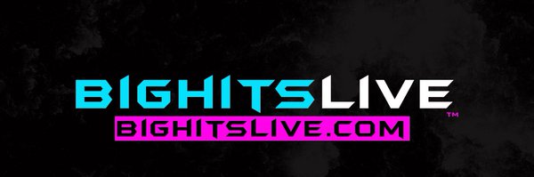 Bighitsnil Profile Banner