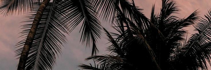 Almvdenx's profile banner image