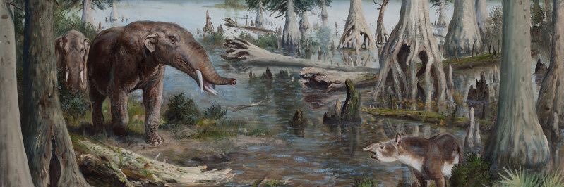 Extinct Animals 🦣🦤 banner