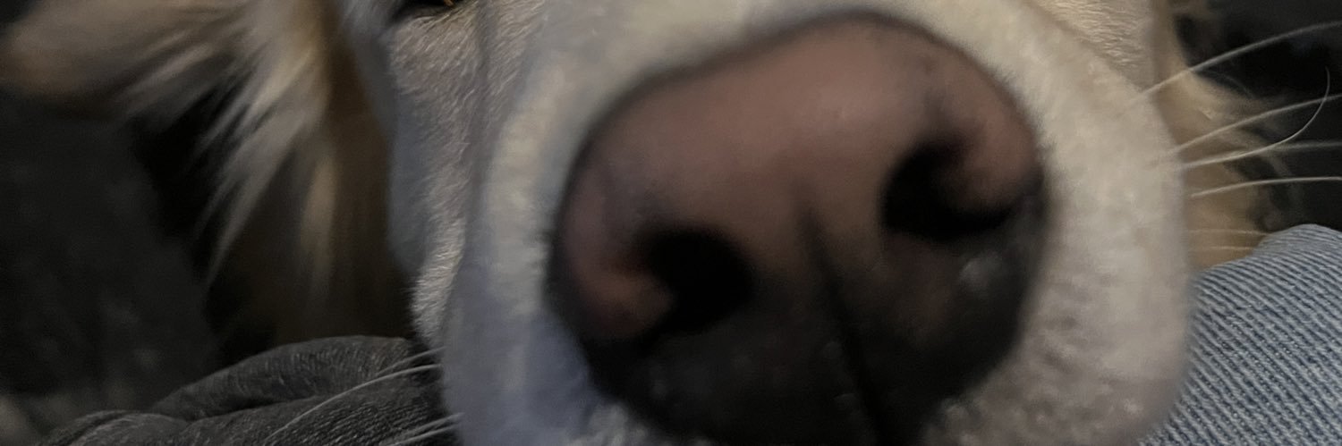 nicolasrezma's profile banner image
