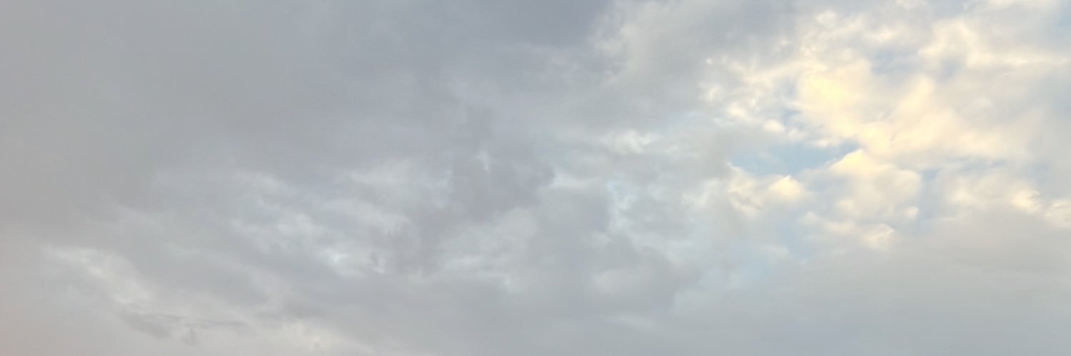 skoon201's profile banner image