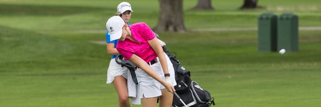 Allison Seitz banner