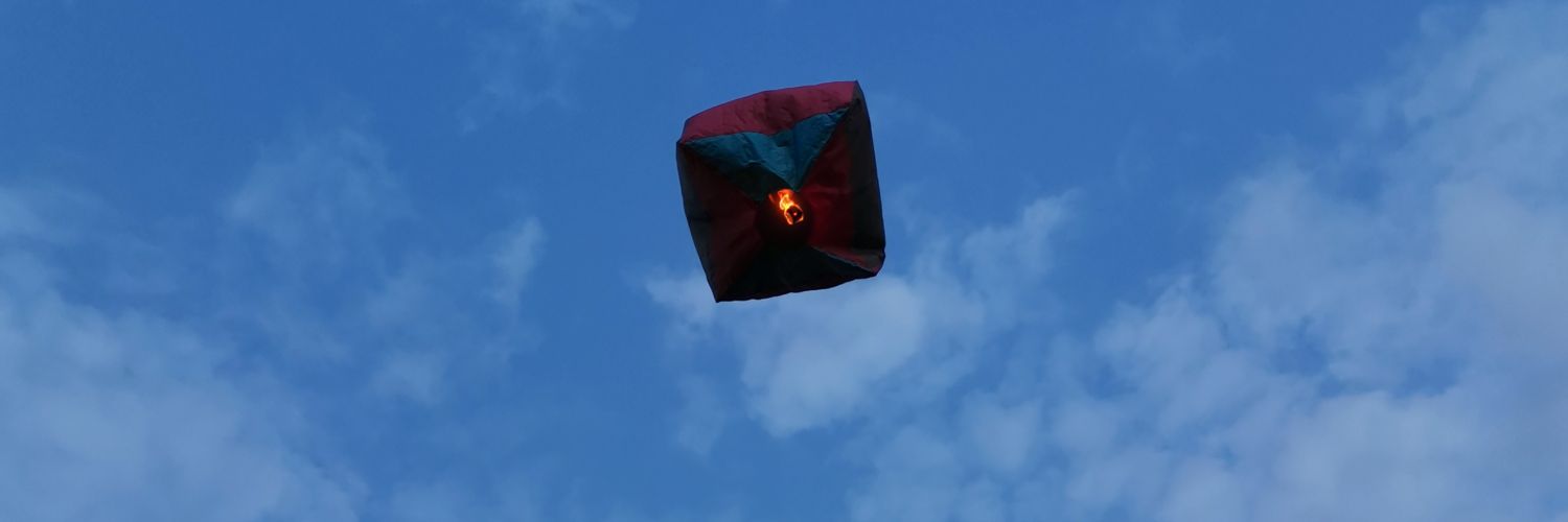 PterVac's profile banner image
