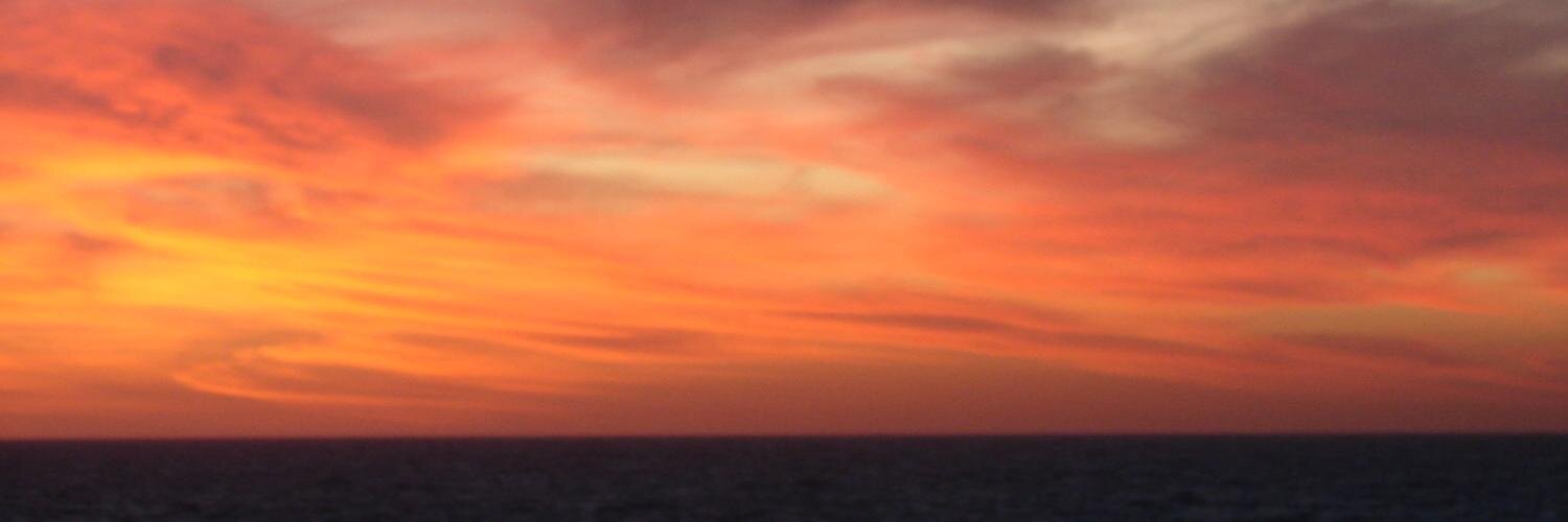 María Elena Polack banner