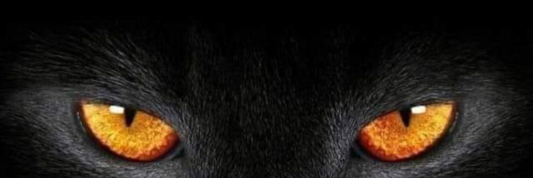 raimagnetico's profile banner image