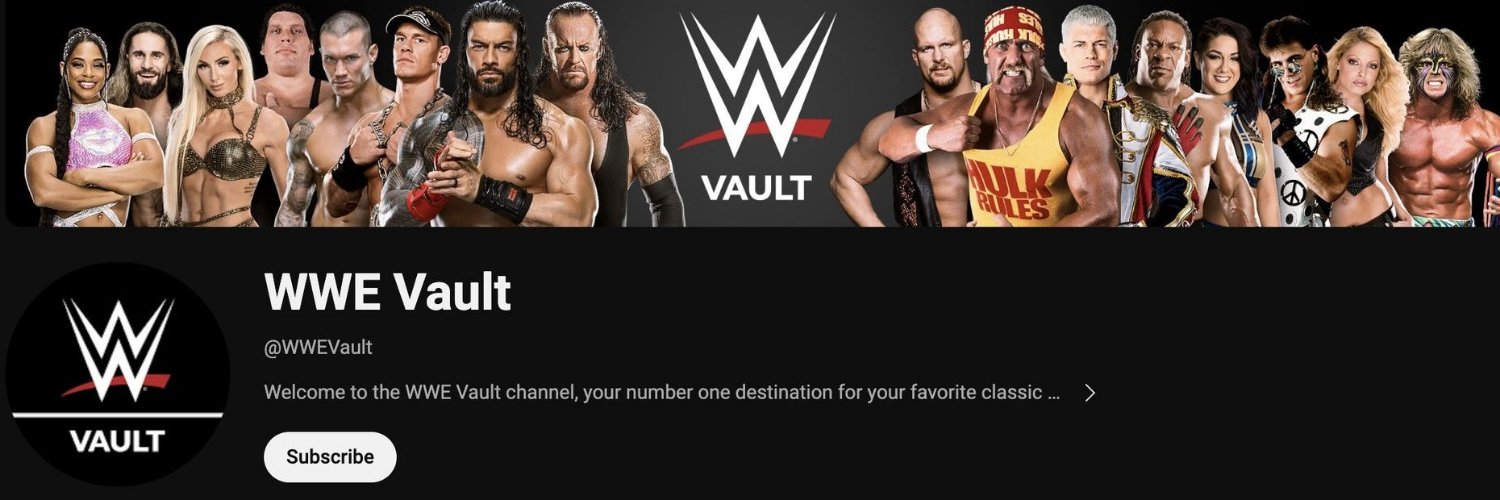 Mr. Vault banner