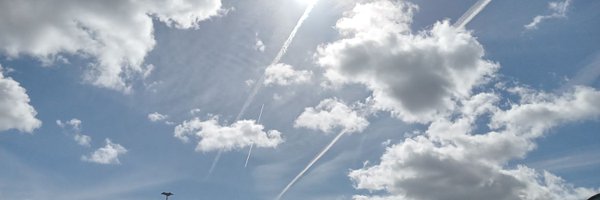 Guillau13441190 Profile Banner