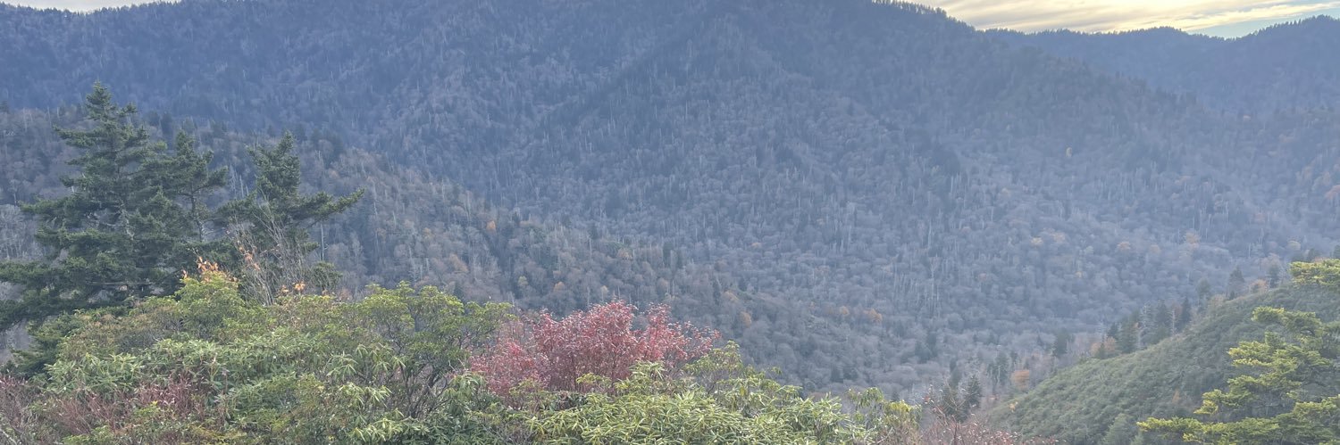 bellamnolan's profile banner image