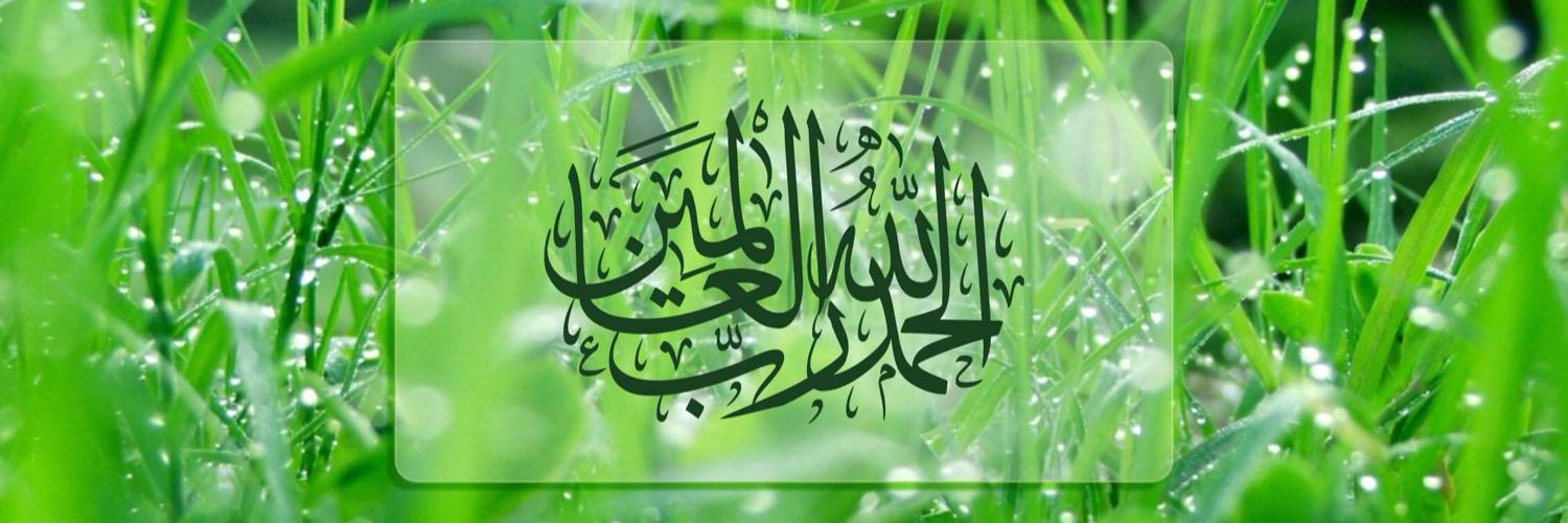 anmar830's profile banner image
