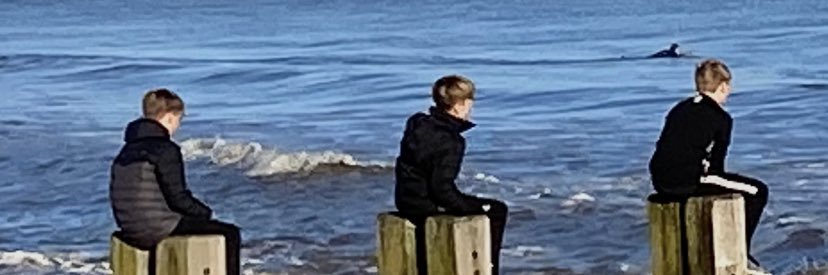 raealdous's profile banner image
