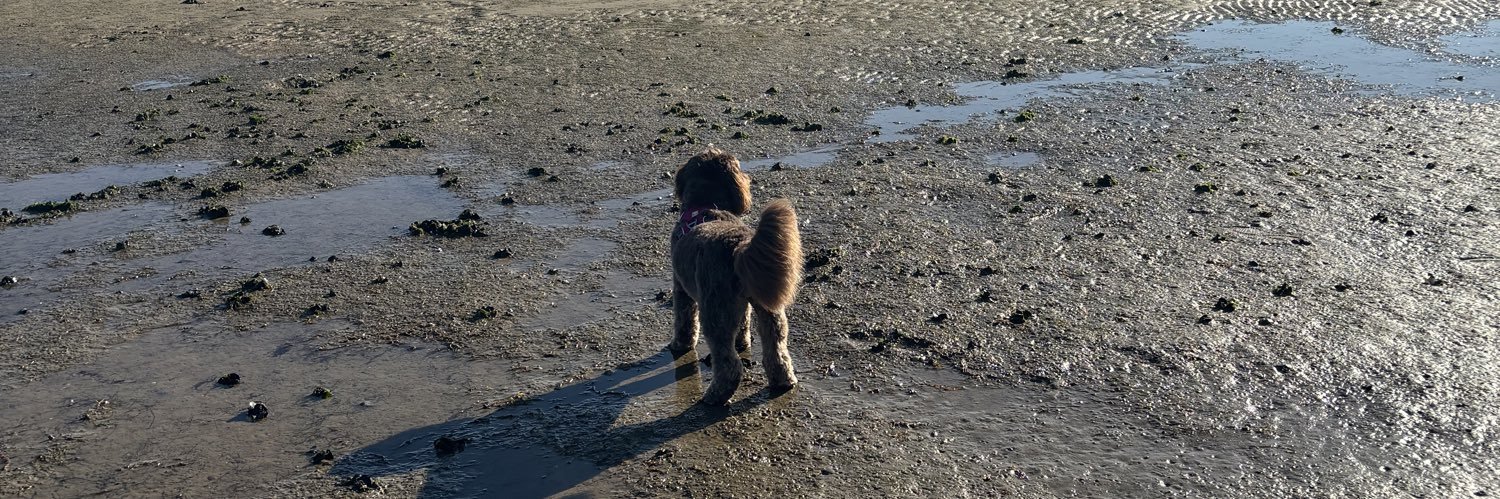 charminglydaft banner