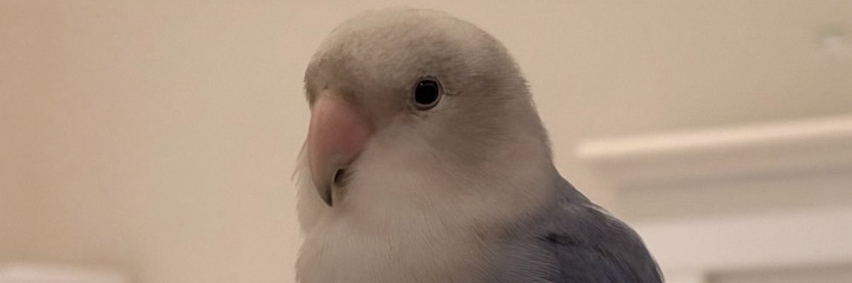 rawankhathami's profile banner image