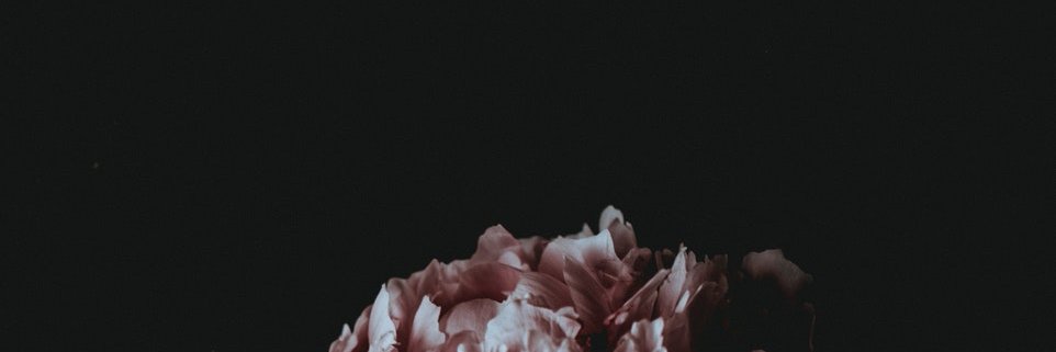 caseylc's profile banner image