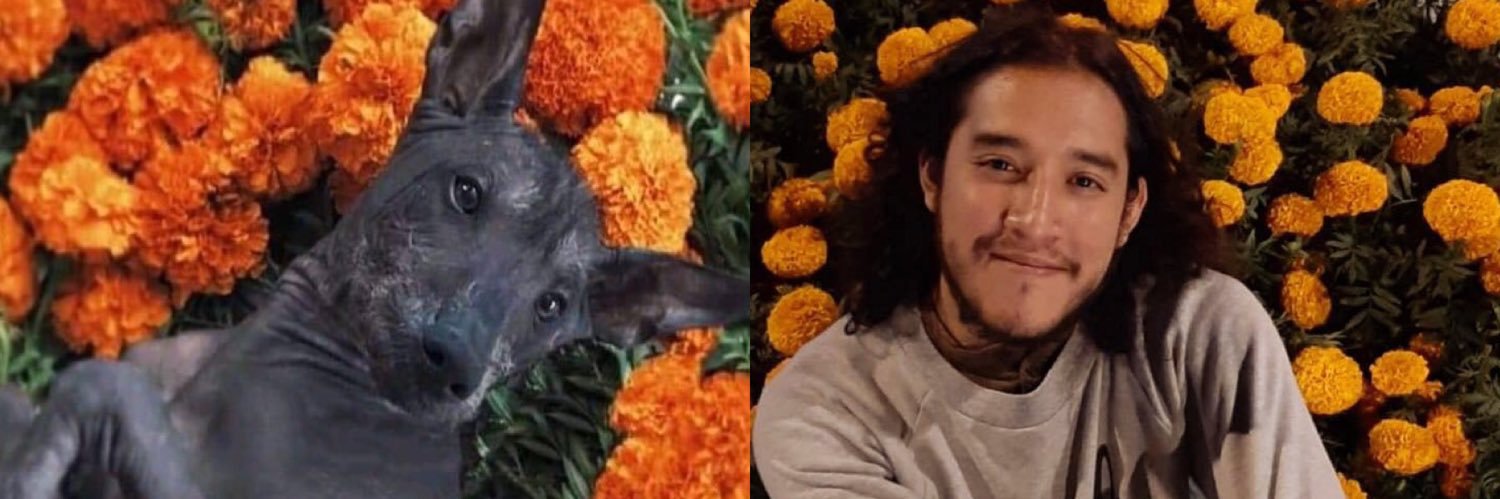 AdultoRespons13's profile banner image
