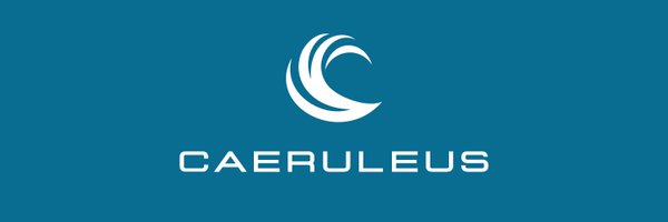 CaeruleusOW Profile Banner