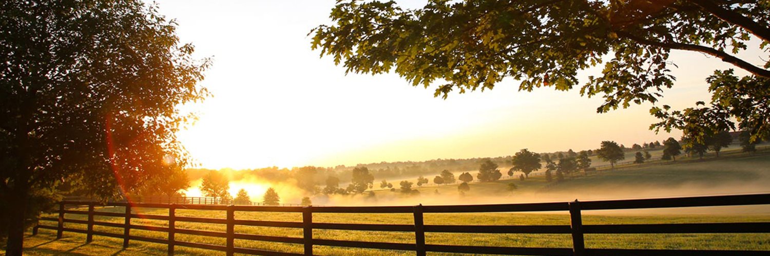 NancySpiveyNKY's profile banner image