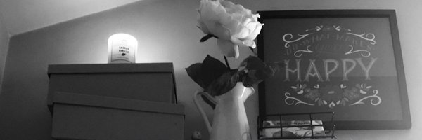 sheabrock Profile Banner