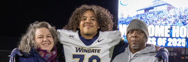 HarleeMario78 Profile Banner