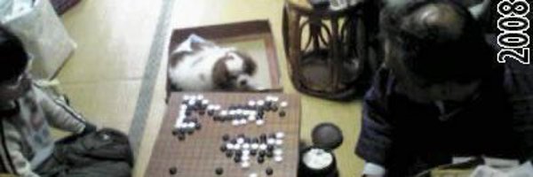 chizuko78459505 Profile Banner
