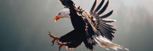 RBbethetruth Profile Banner