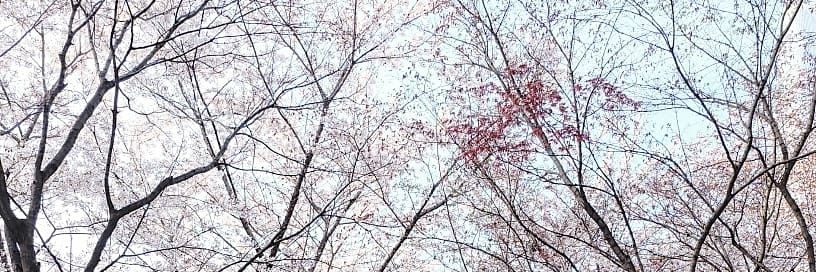 janileee's profile banner image