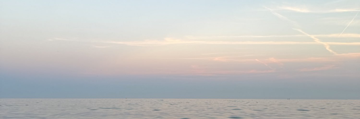 hiddenlele's profile banner image