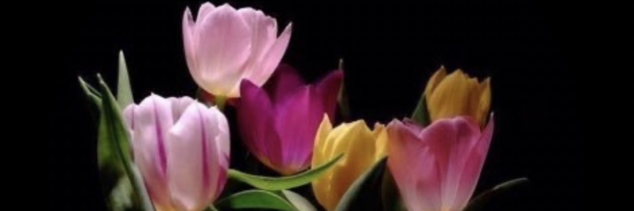 wwaa226's profile banner image
