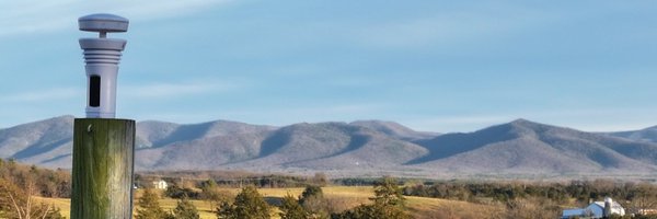 AlexanderMann Profile Banner