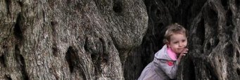 arewebadies's profile banner image