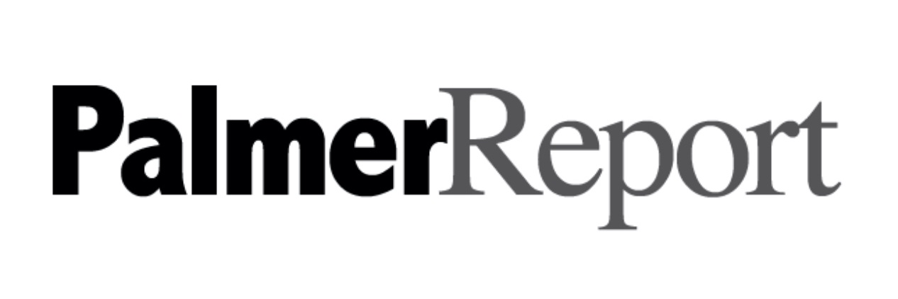Palmer Report's banner