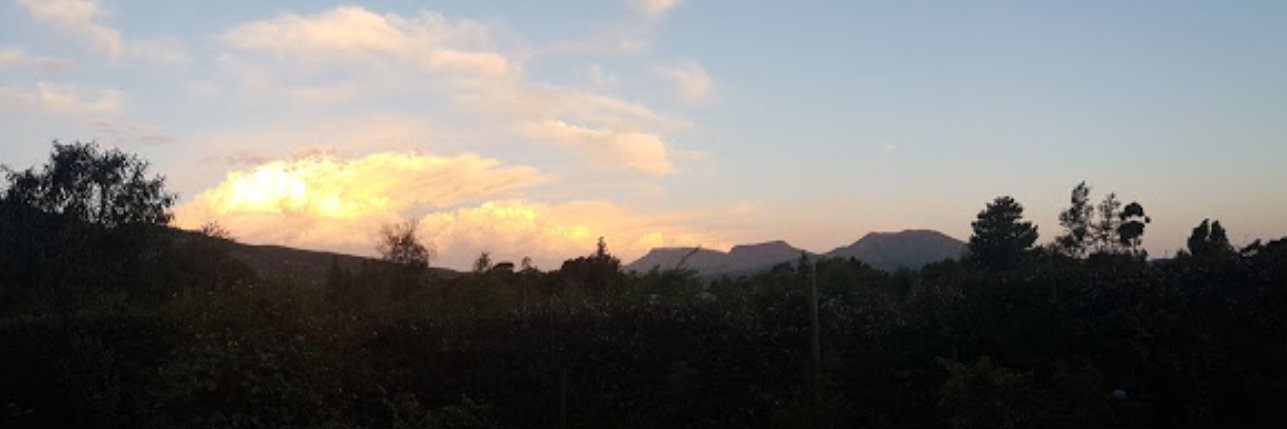 hogsback's profile banner image